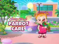 image bg Baby Hazel Parrot Care