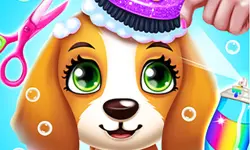 image bg Puppy Friends Pet Dog Salon