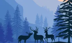 Landscape Paradise Hidden image