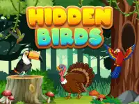 image bg Hidden Birds