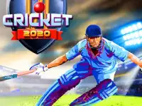 image bg Cricket 2020