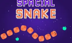 Spacial Snake image