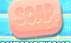 Dont Drop The Soap image