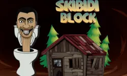 Skibidi Blocks image