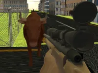 image bg Angry Bull Shooter