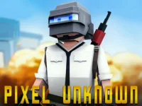 image bg PUBG  Gunfight Pixel