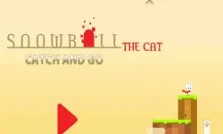 Snowball The Cat Catch and Go image