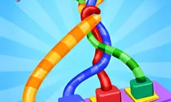 Tangle Fun 3D Game image