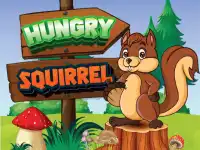 image bg Hungry Squirrel