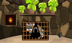 Rescue The Raccoon image