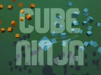 image bg Cube Ninja