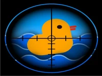 Quick Duck Shoot image