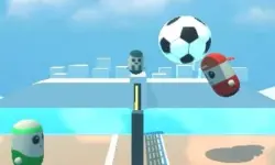 Pin Voleyballs image