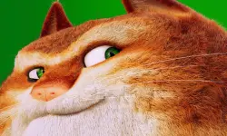 The Amazing Maurice Card Match image